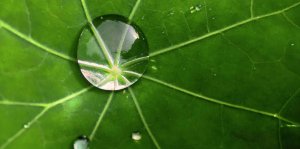 Wasserfilter für den Wasserhahn Energetisches Wasser, vitalisiert mit vital premium Sauerstoffaktivierung Wassershop Trinkwasserfilter für den Wasserhahn